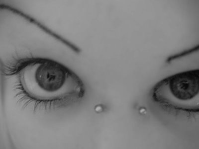 septum spiderbites bridge spider bites piercing on guys. septum spiderbites bridge