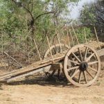 Bailgadi-India