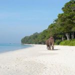 andaman_and_nicobar_islands-Beach