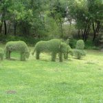 Green_city_hyderabad