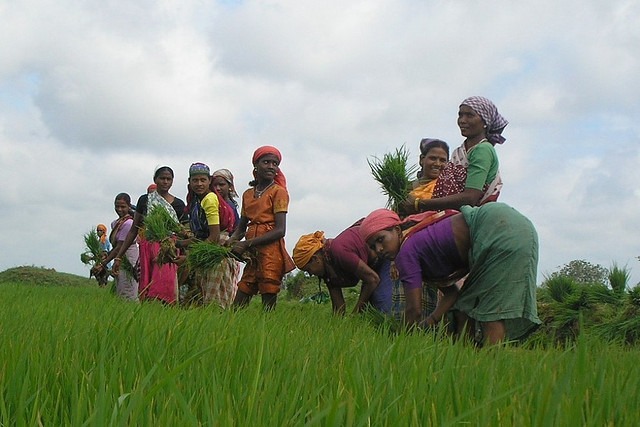 Chhattisgarh-Culture Chhattisgarh-Culture