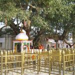 Stampede-in-Himachal-Temple