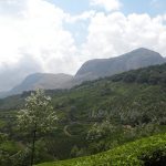 Anamudi-peak