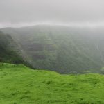 Shola-grassland