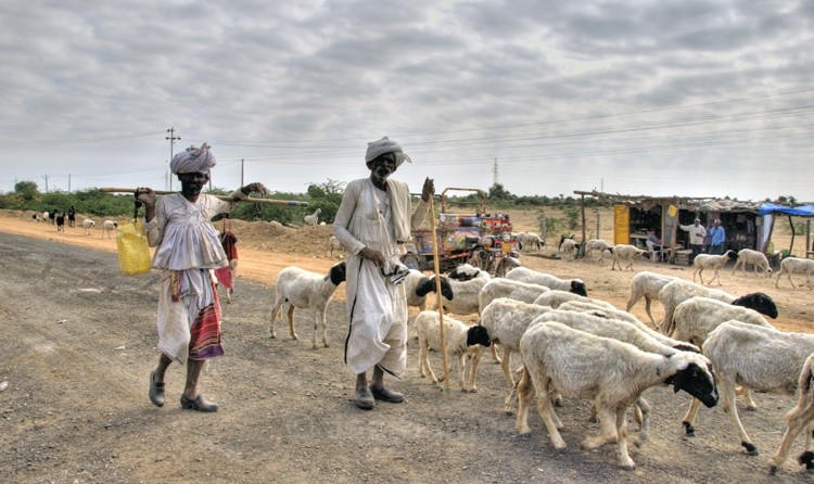 Tribes-of-Kutch-Gujarat Tribes-of-Kutch-Gujarat