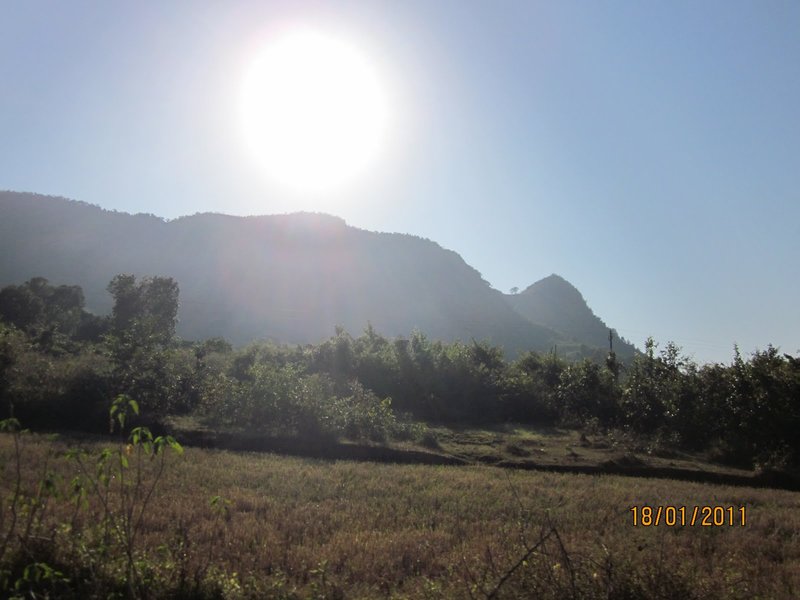 Niyamgiri-hill-range Niyamgiri-hill-range