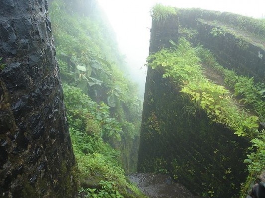 Tikona_fort