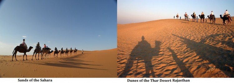 Sahara-Thar-Desert