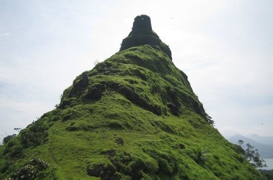 tung-fort