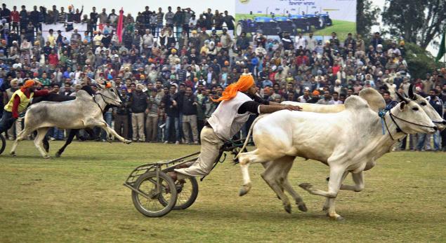 Kila-Raipur-Punjab