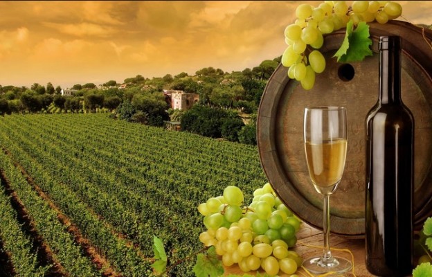 Sula-wines