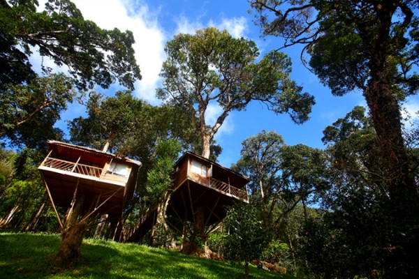 Nature-Zone-Resort-Munnar