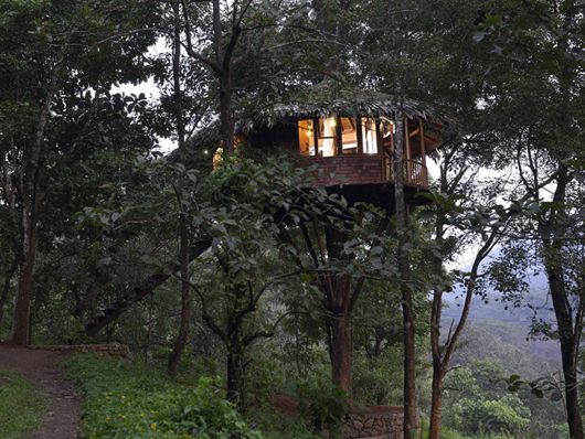 Rainforest-Boutique-Athirapally