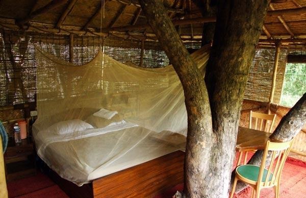 Safariland-Treehouse-Resort