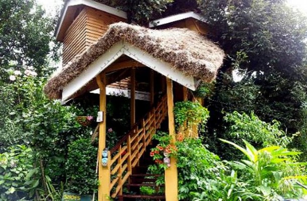 Tree-House-Cottage-Manali