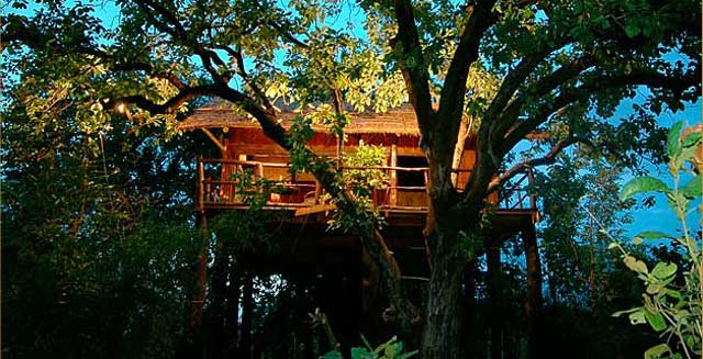 Tree-House-Hideaway