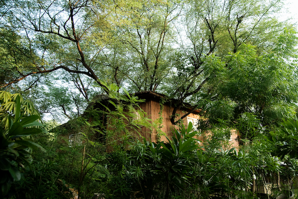 Tree-House-Resort